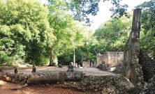 gede kenya 849.jpg